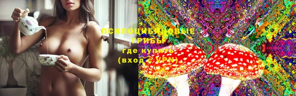 ГАЛЛЮЦИНОГЕННЫЕ ГРИБЫ Алзамай