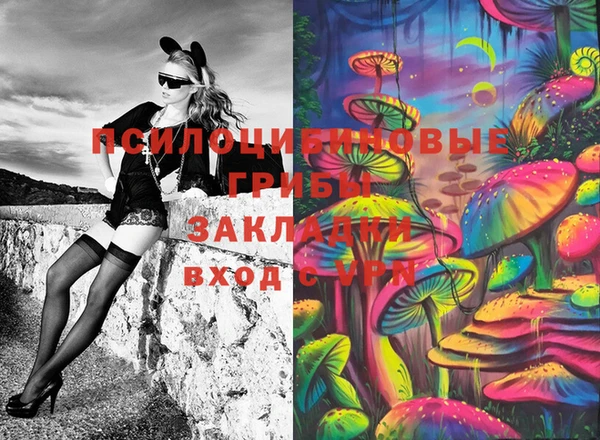 ГАЛЛЮЦИНОГЕННЫЕ ГРИБЫ Алзамай