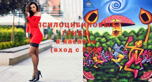 мяу мяу мука Алексин