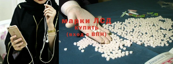 ГАЛЛЮЦИНОГЕННЫЕ ГРИБЫ Алзамай